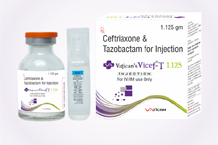 	VATICAN'SVICEF-T-1.125 INJ.png	 - top pharma products os Vatican Lifesciences Karnal Haryana	